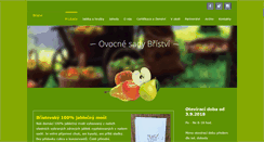 Desktop Screenshot of bristvi.cz