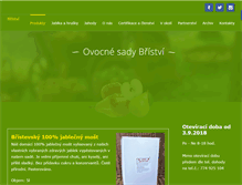 Tablet Screenshot of bristvi.cz